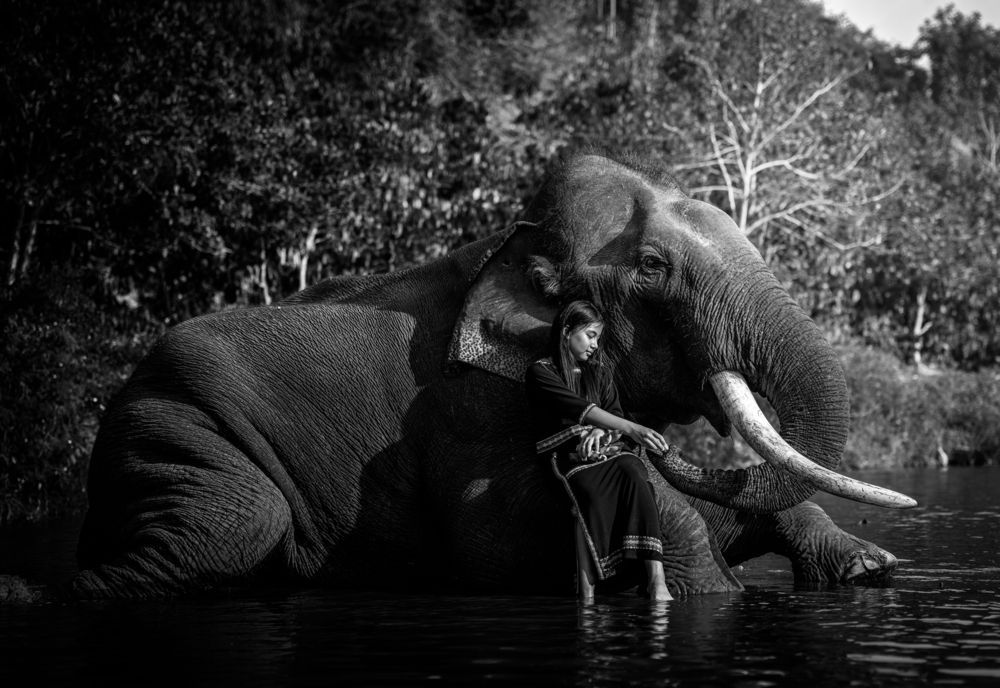 Photograph by Tran Phuong