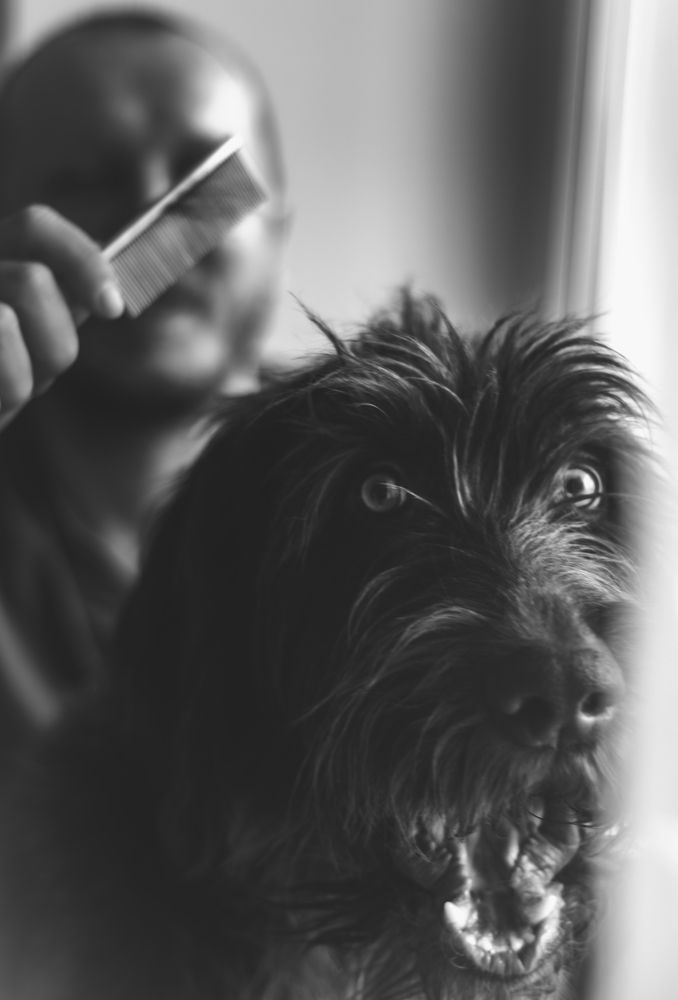 Photograph by Ольга Глущенко