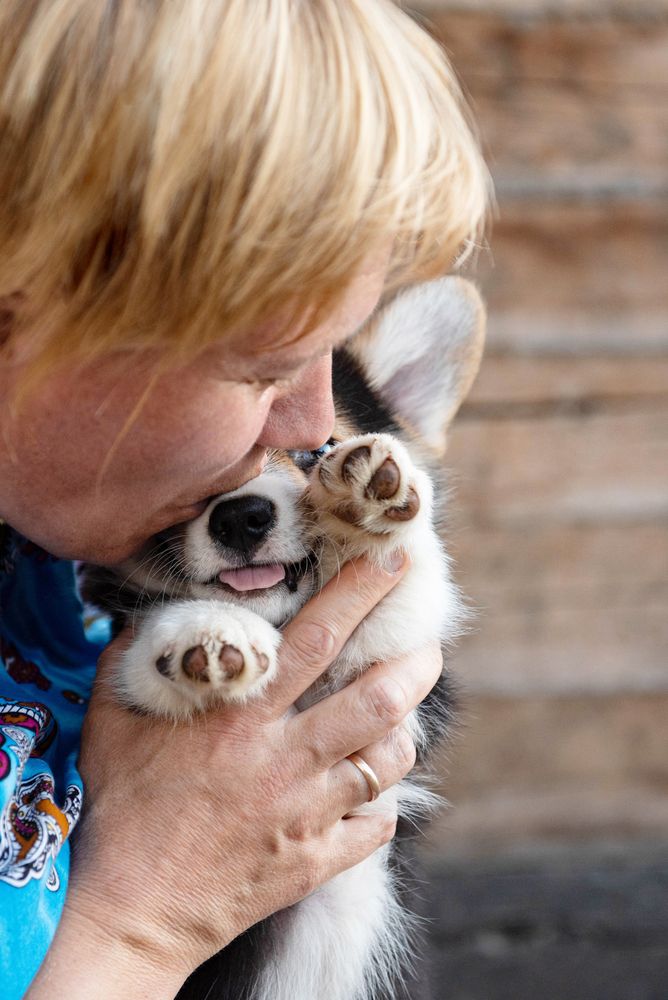 Фотография автора Анна Евстигнеева