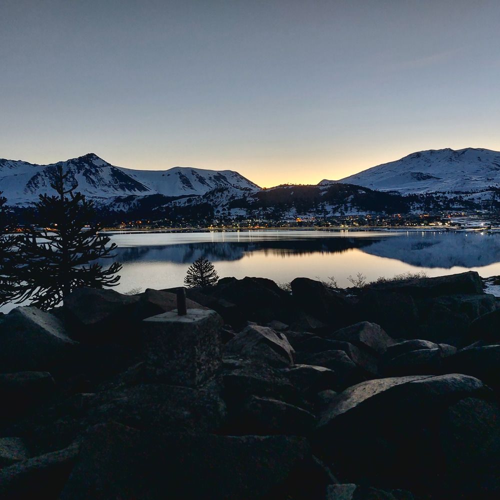 Photo #13229185