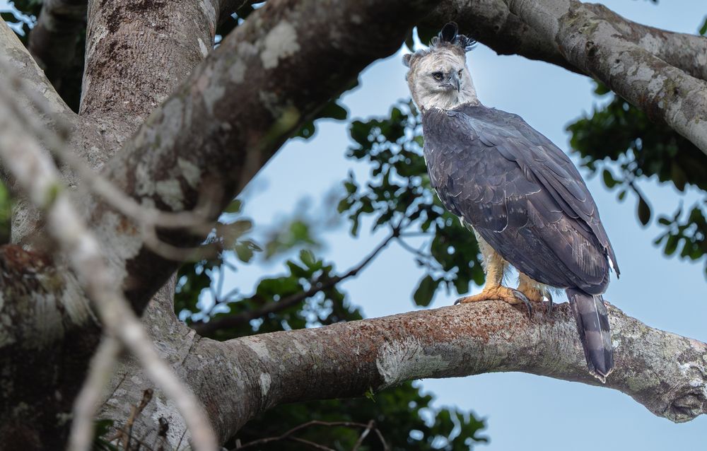 Photograph by Alberto Camardiel