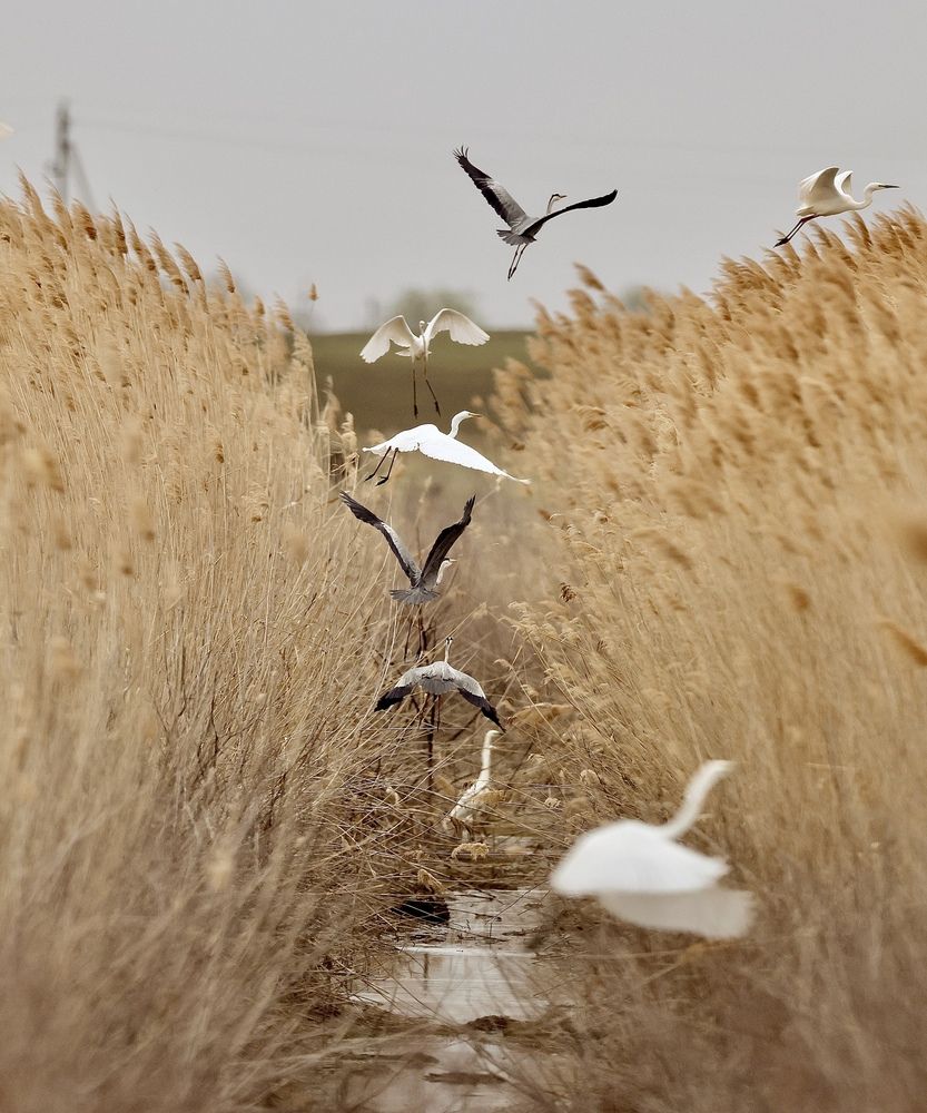 Фотография автора Леонид Голубков