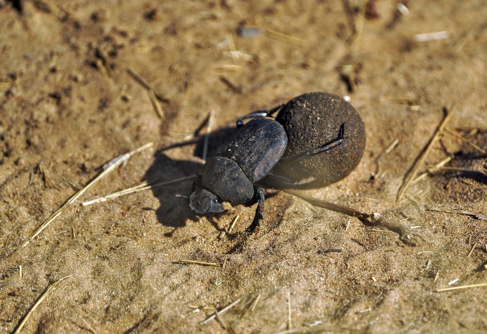 Это все мое