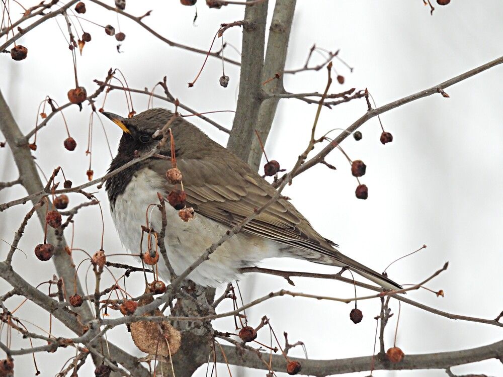 Photograph by Александр Прядко