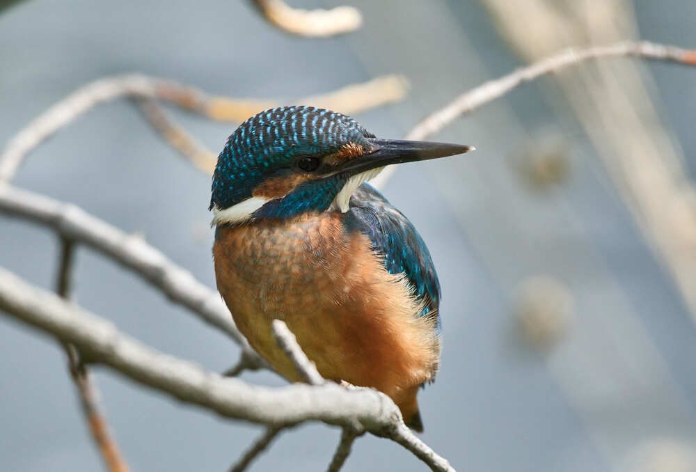 Photograph by Шабалин Игорь