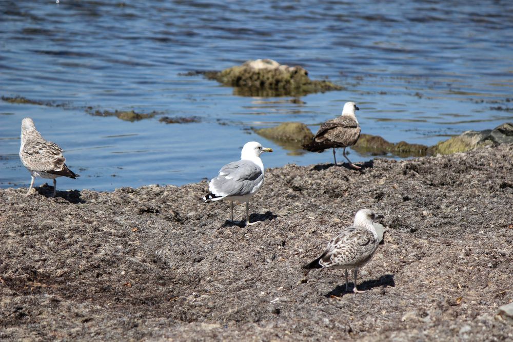 Photograph by Ирина Дмитриенко