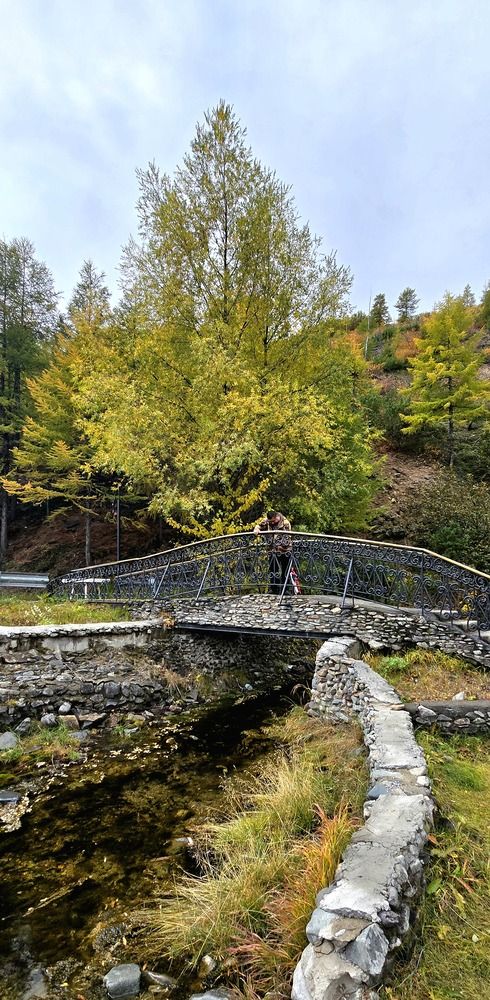 Фотография автора Лариса Ким