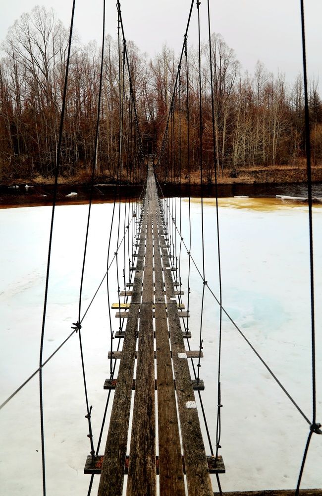 Фотография автора Лариса Ким