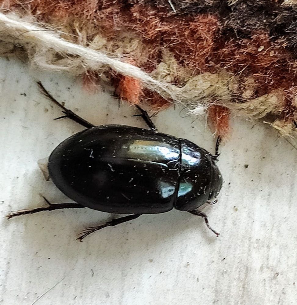 Photograph by Анна Андреевна