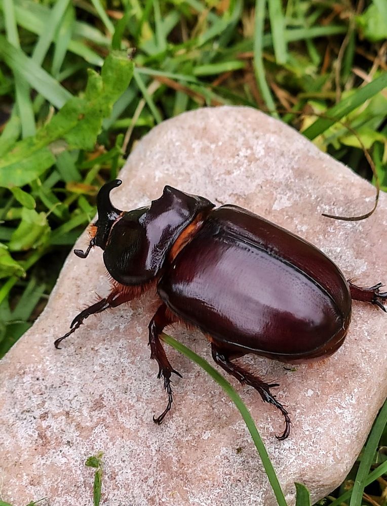 Photograph by Анна Андреевна