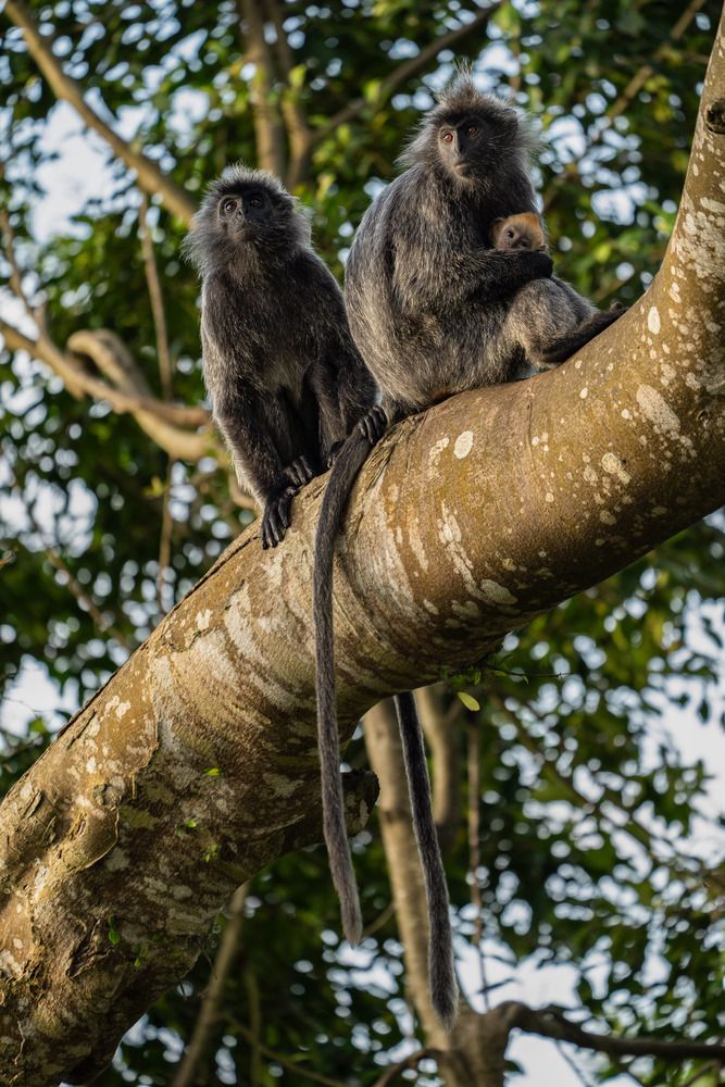 Photograph by Joseph Cheung