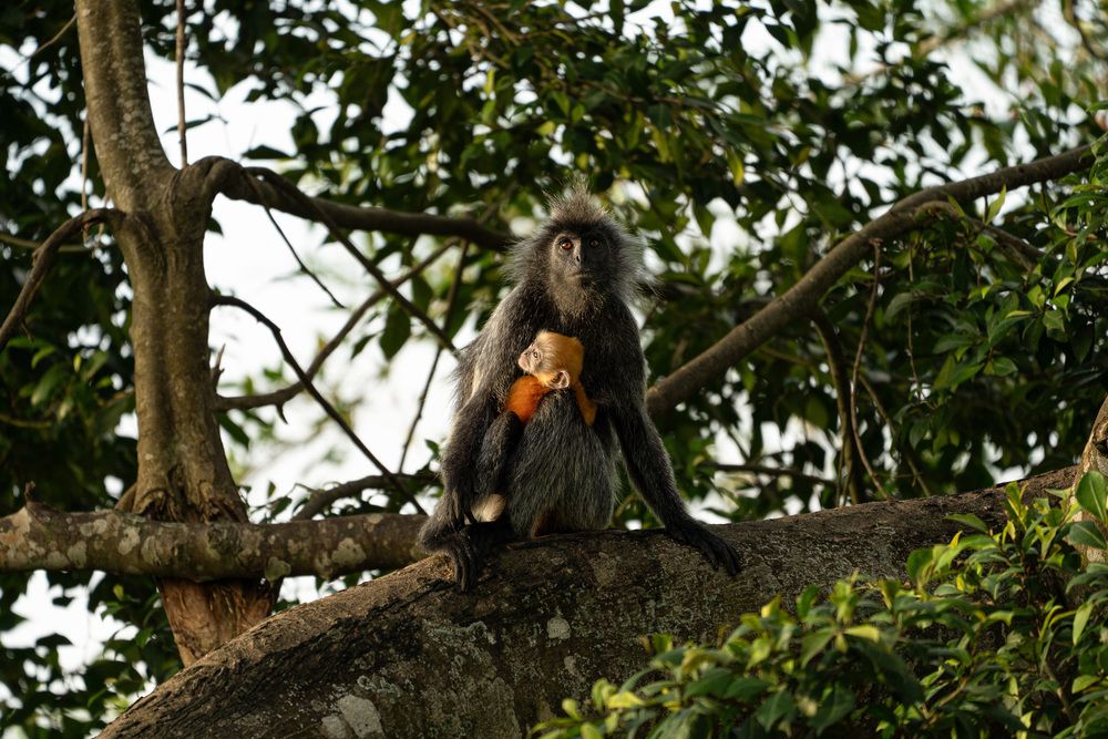 Photograph by Joseph Cheung