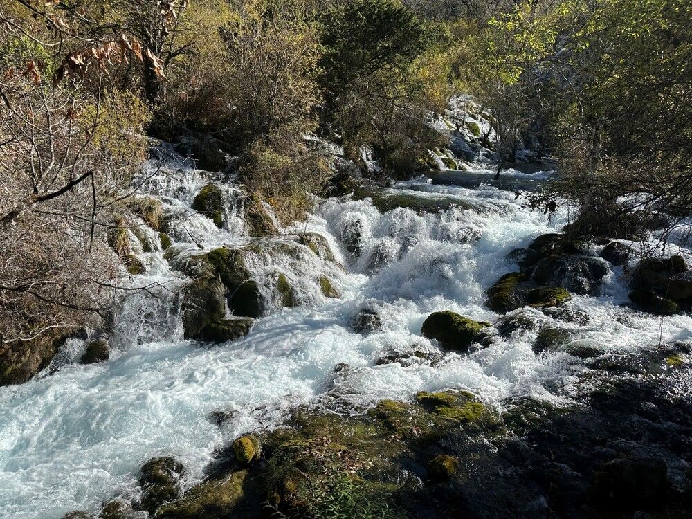 Фотография автора Natalia Kuzmina