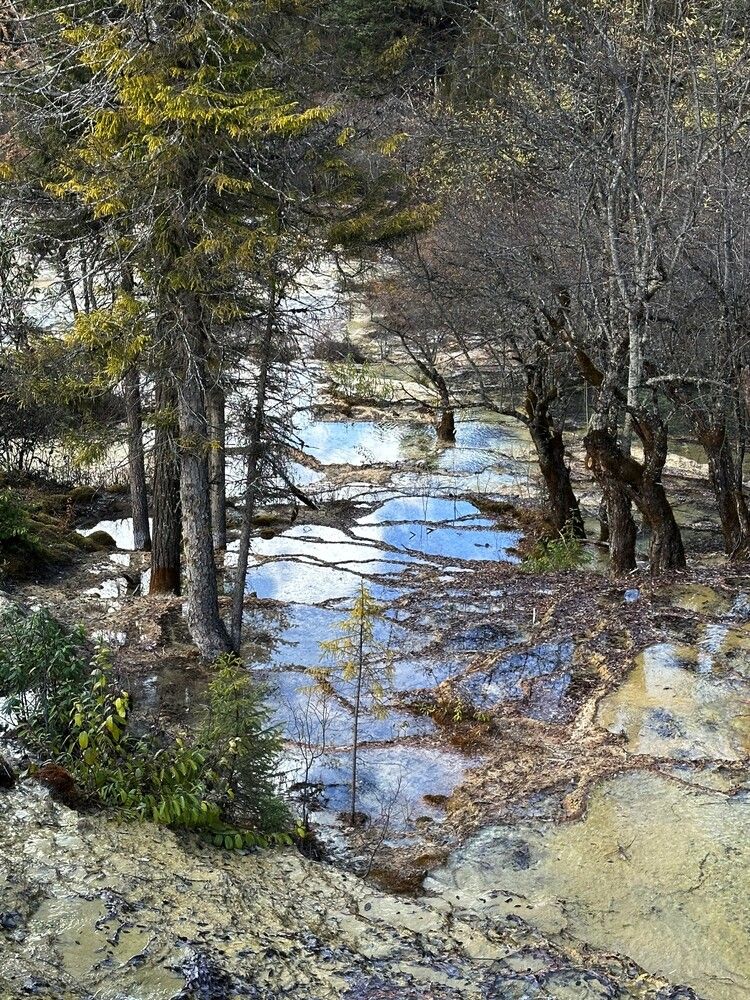 Фотография автора Natalia Kuzmina