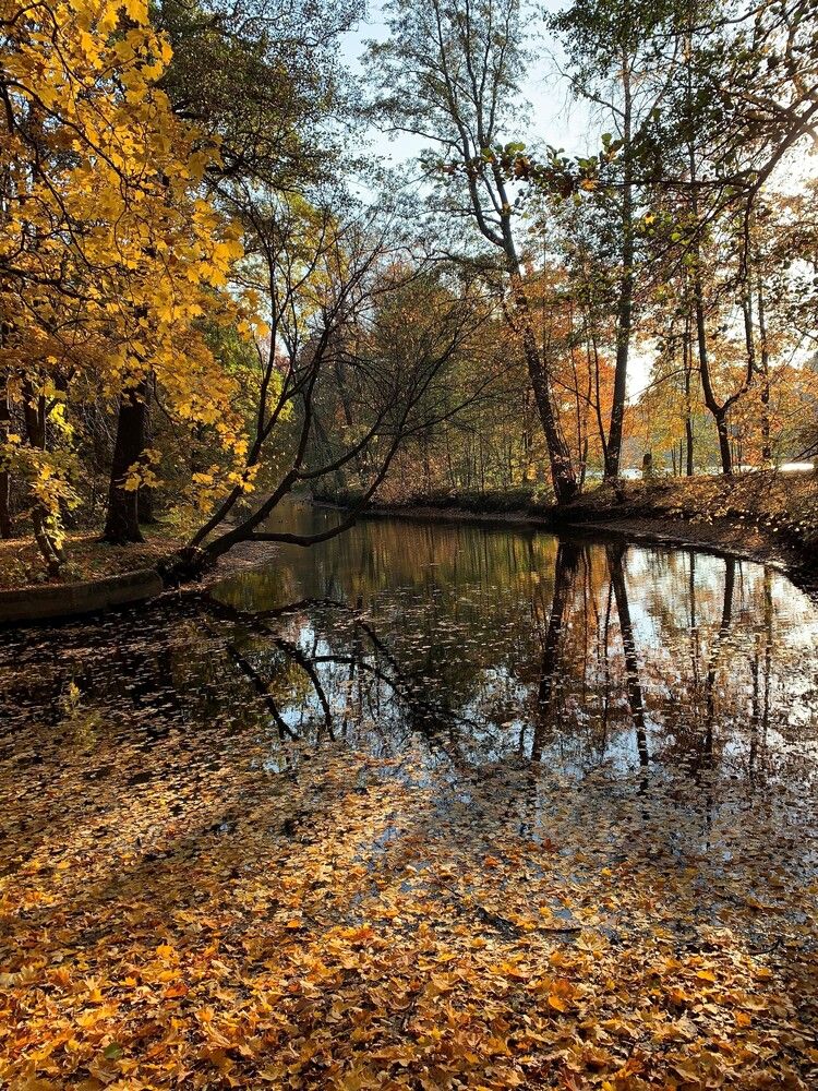 Фотография автора Natalia Kuzmina