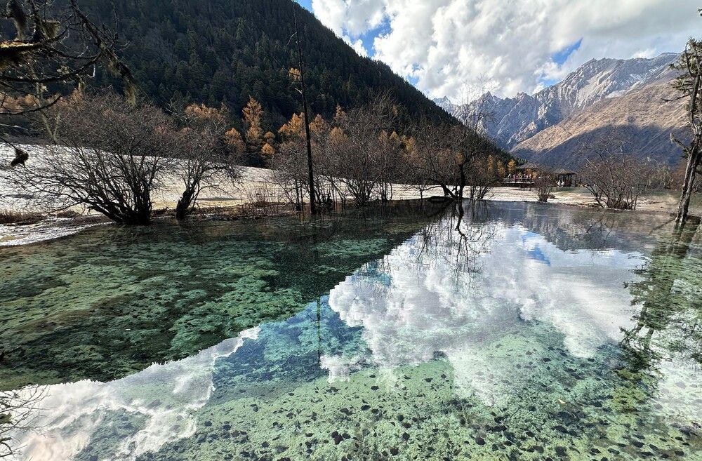 Полосатый мир