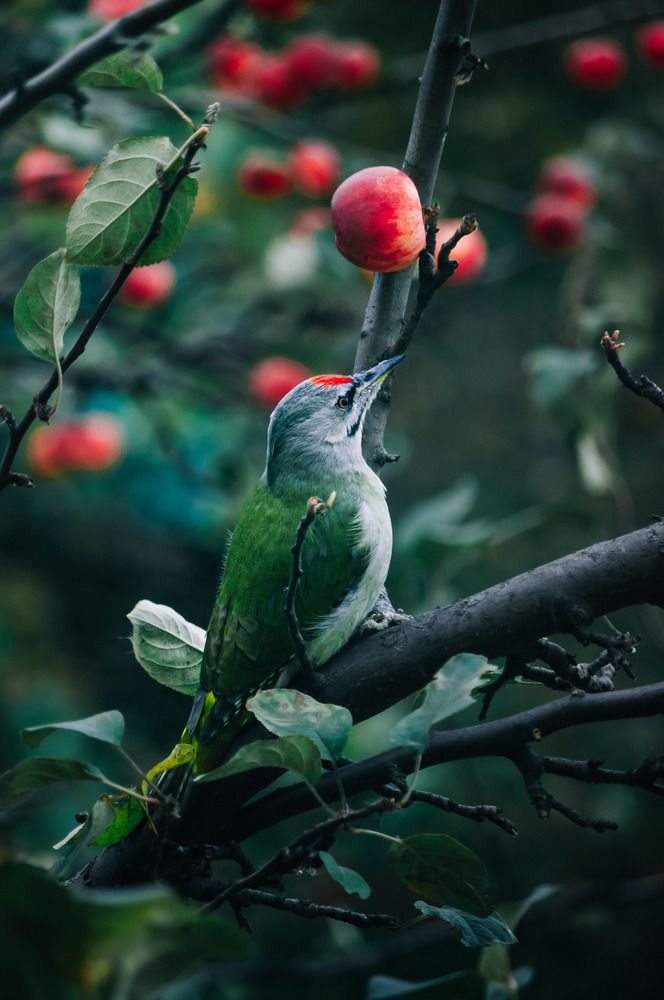 Photograph by Николай Захаров