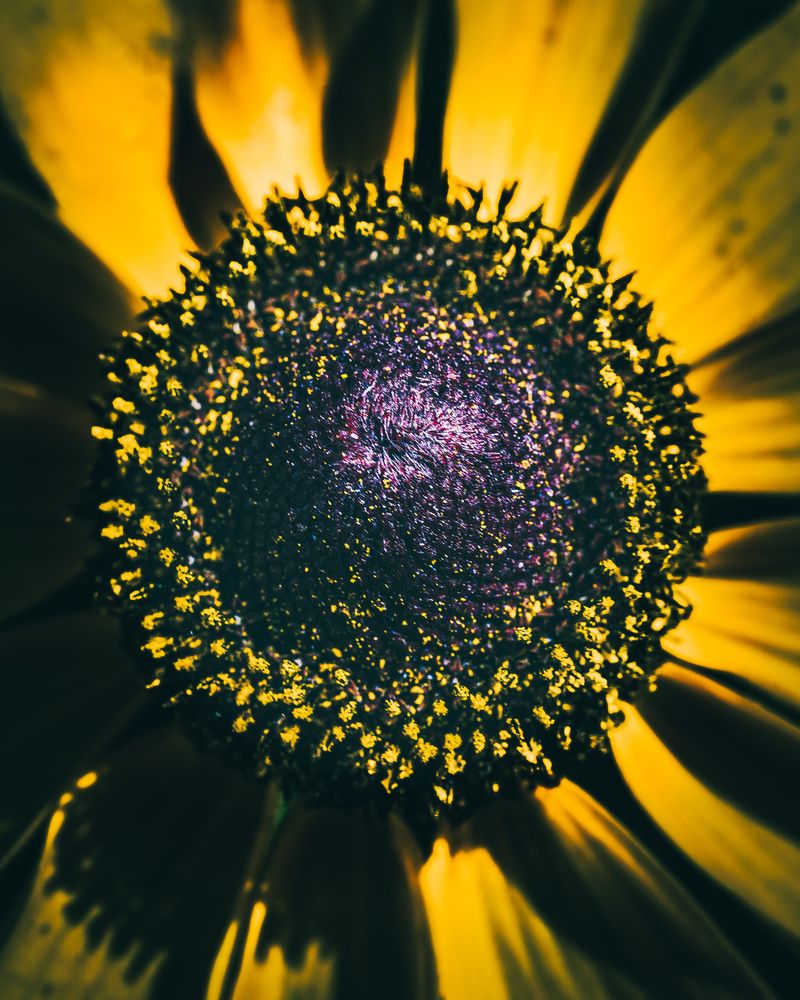 Photograph by Konstantin Shin