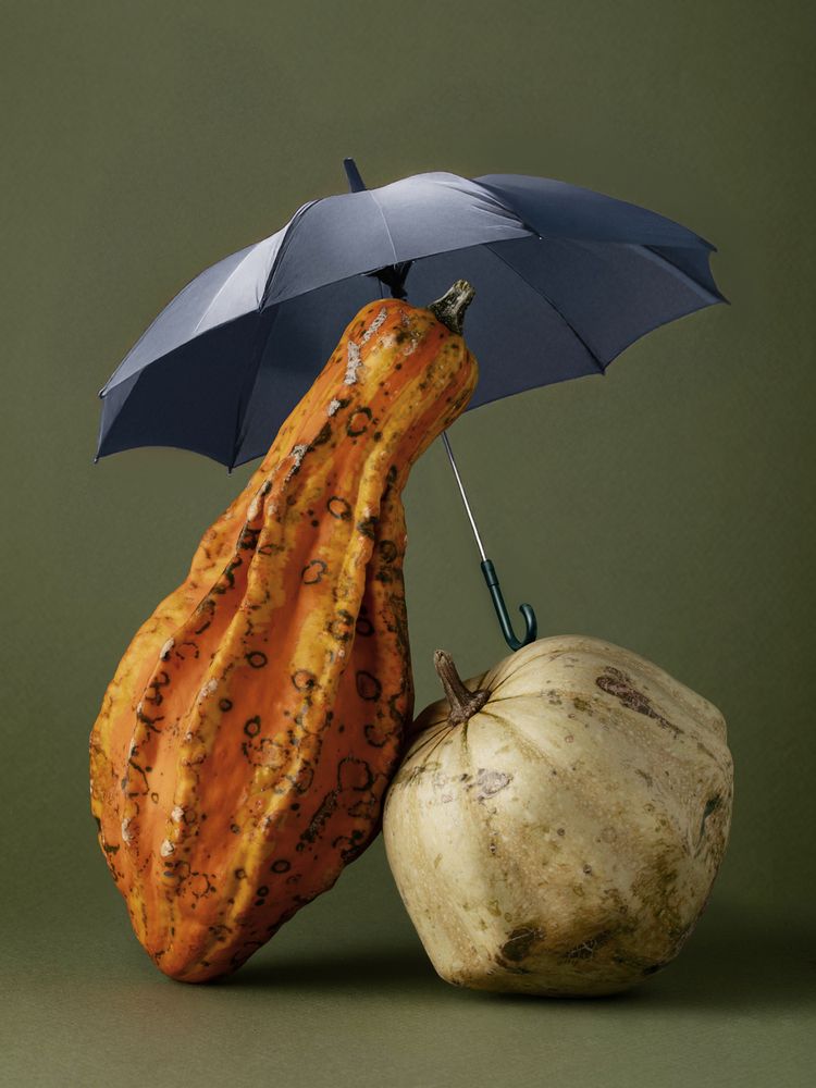 Photograph by Юлия Любич