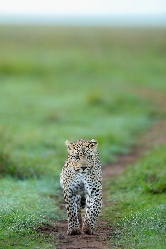 Photograph by Jeevan T
