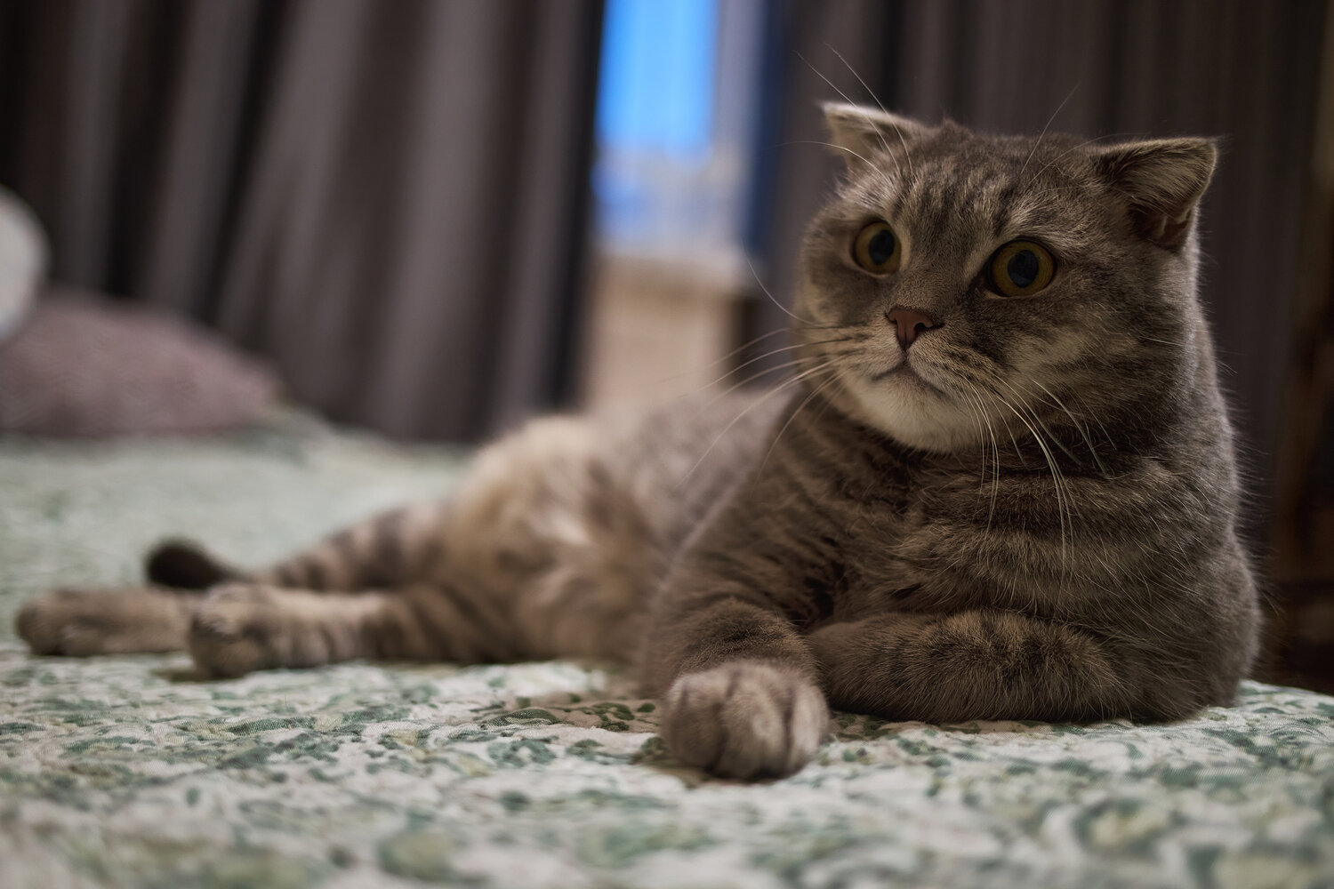 Photo #13229755
