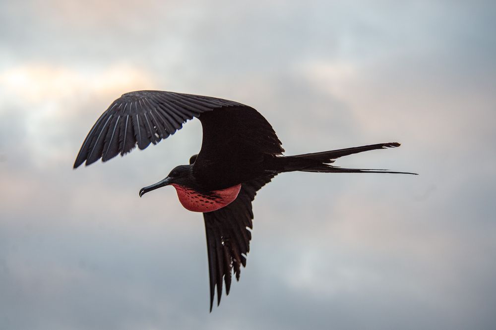 Photograph by Дмитрий Плотников