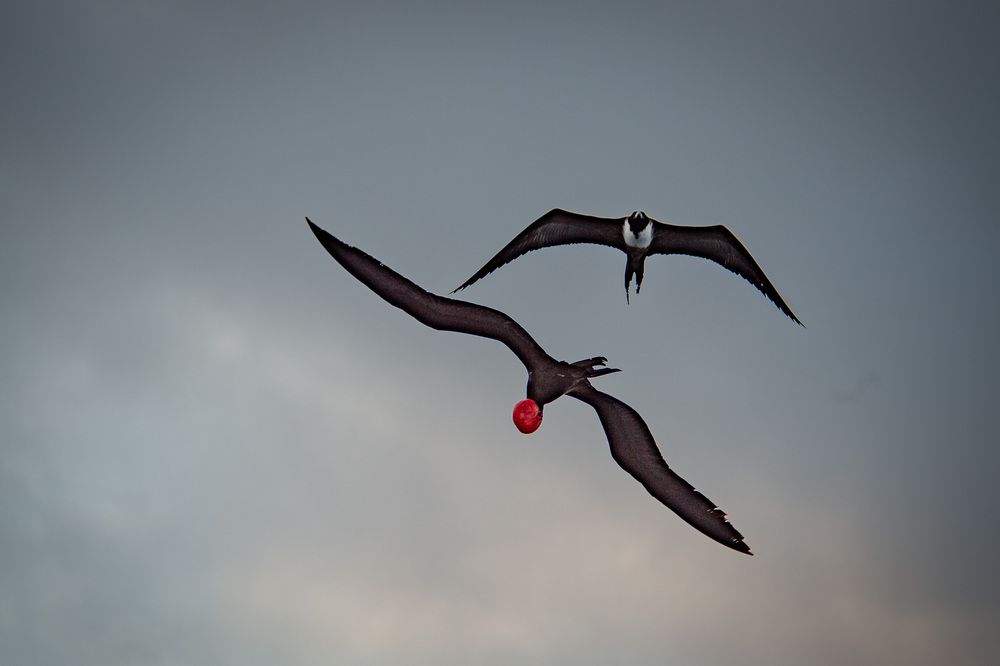 Photograph by Дмитрий Плотников