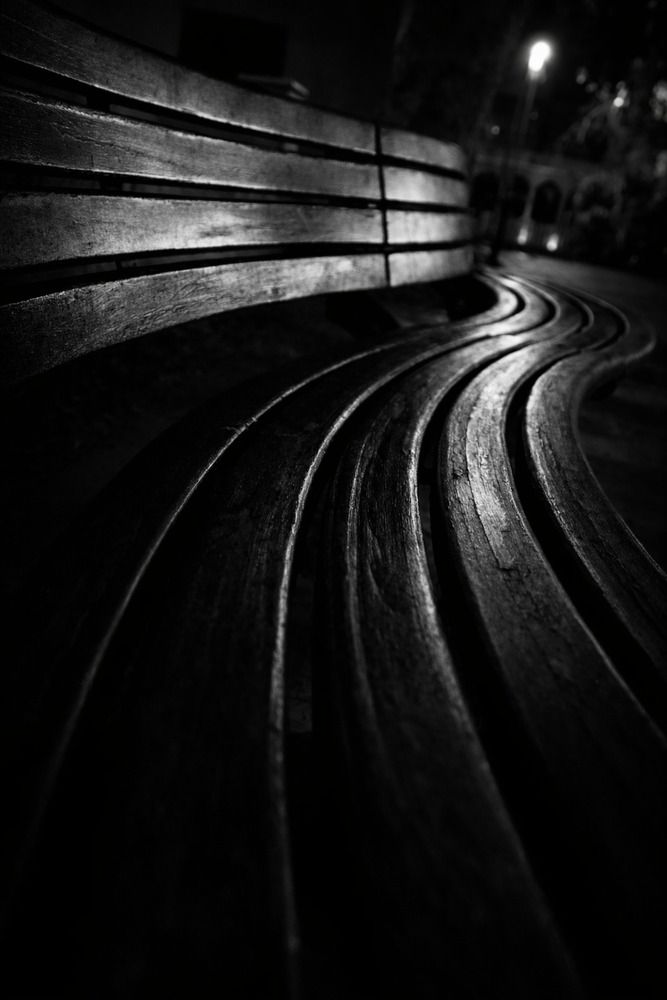 Photograph by Avi Behar