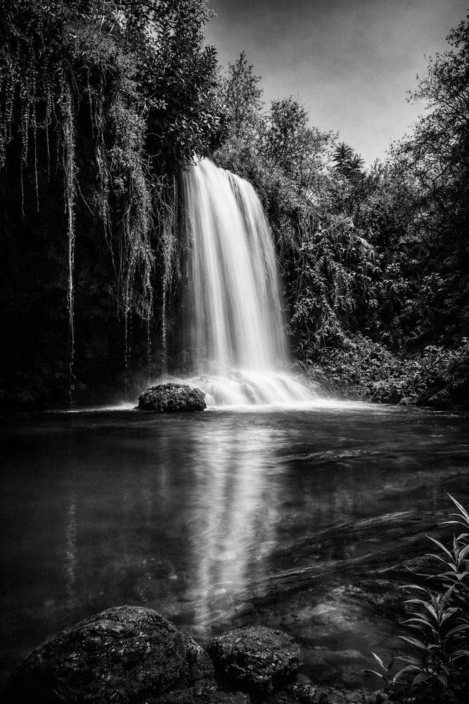 Photograph by Avi Behar