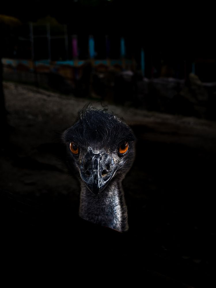 Photograph by Былков Евгений