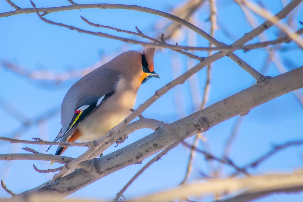 Photograph by Дмитрий Анисимов