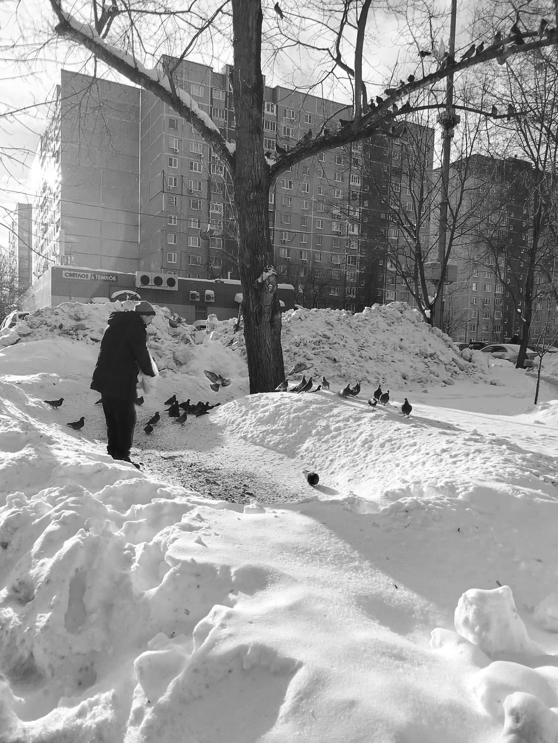 Photo #13229894