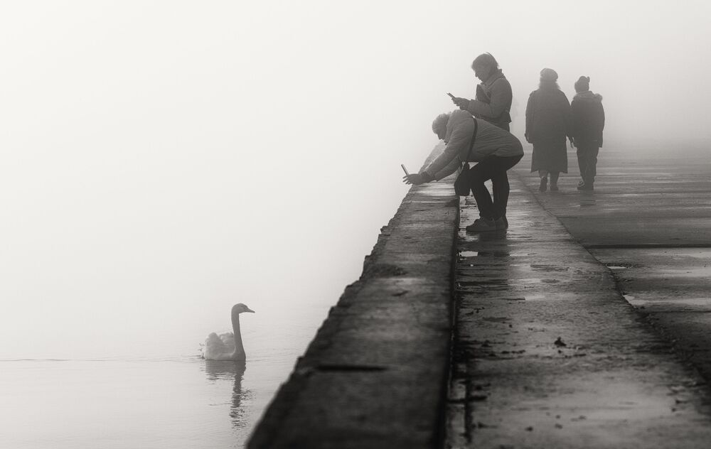 Photograph by Щербак Анатолий