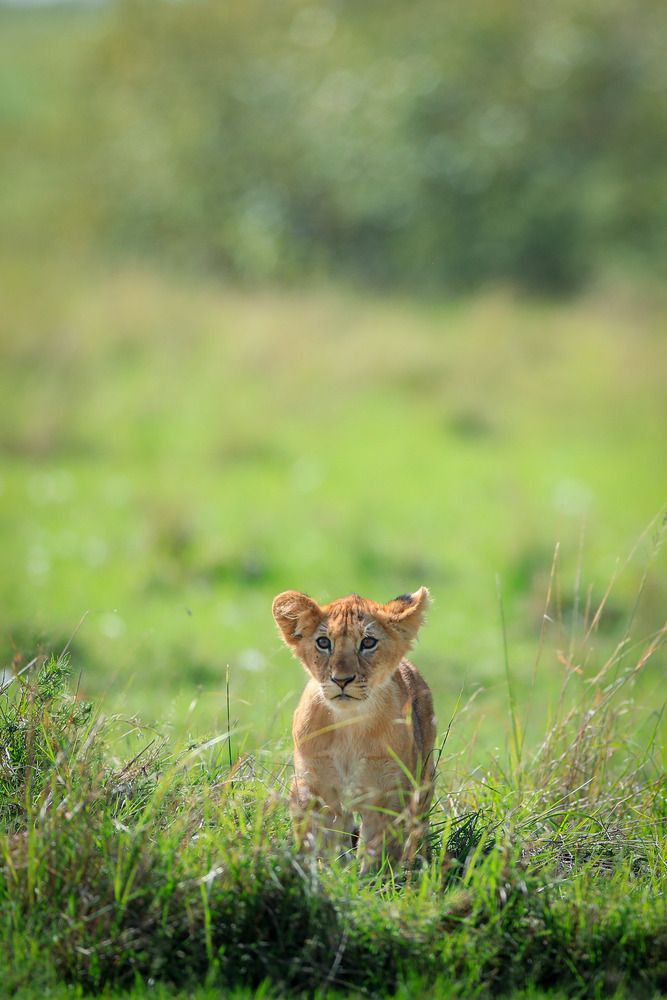 Photograph by Jeevan T