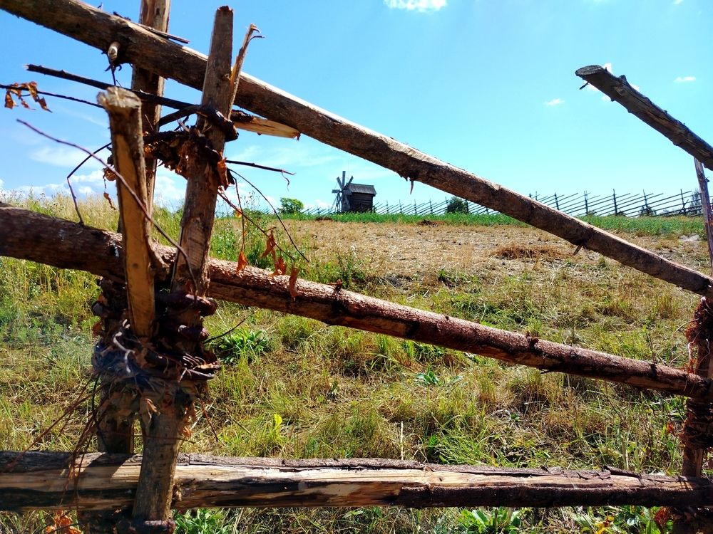 Photo #13229919