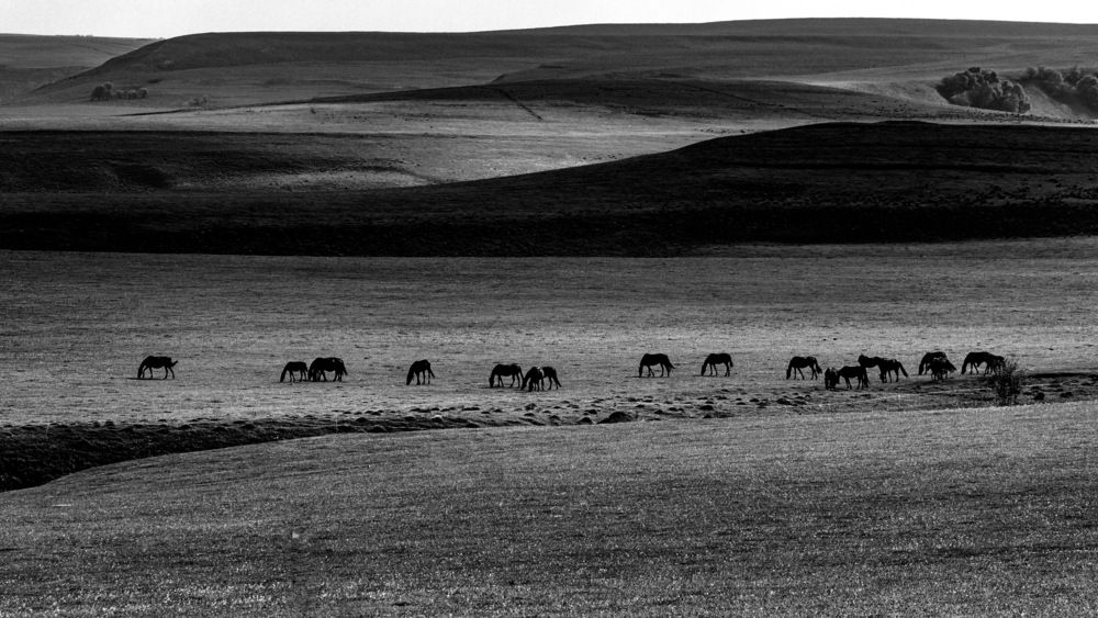 Photograph by Сергей Фомченков