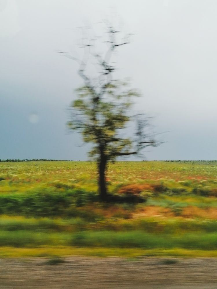 Фотография автора Илья Тихановский