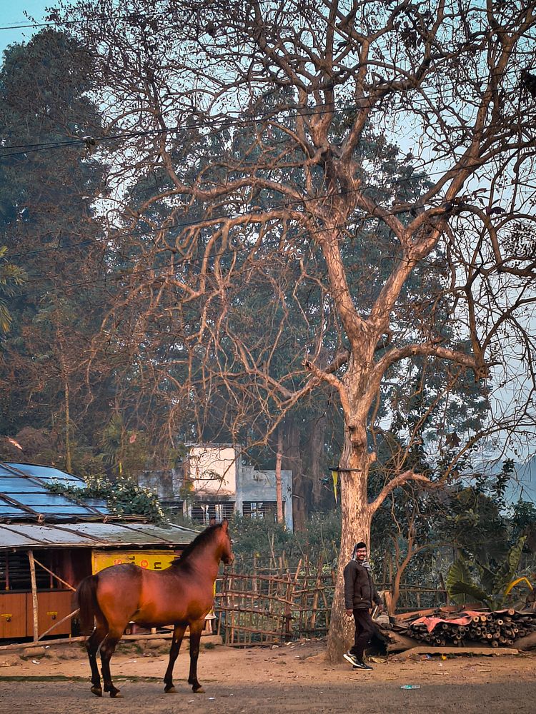 Photograph by Debayan Bhattacharya