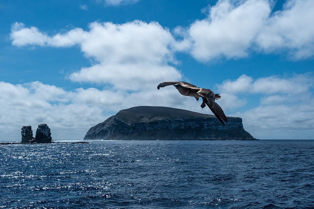 Photograph by Дмитрий Плотников