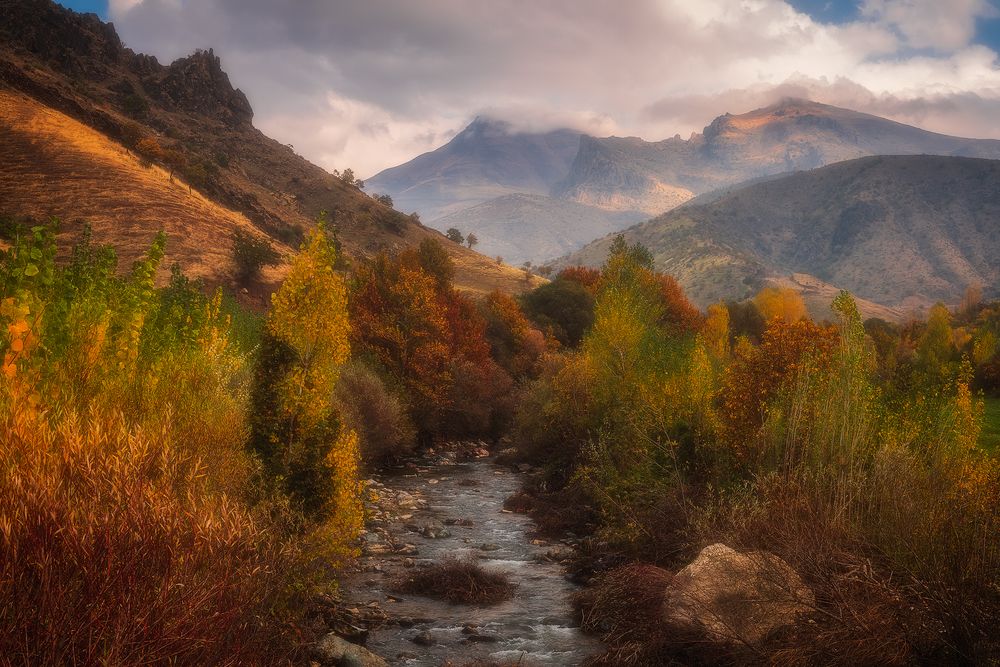 Photograph by Aws Zuhair