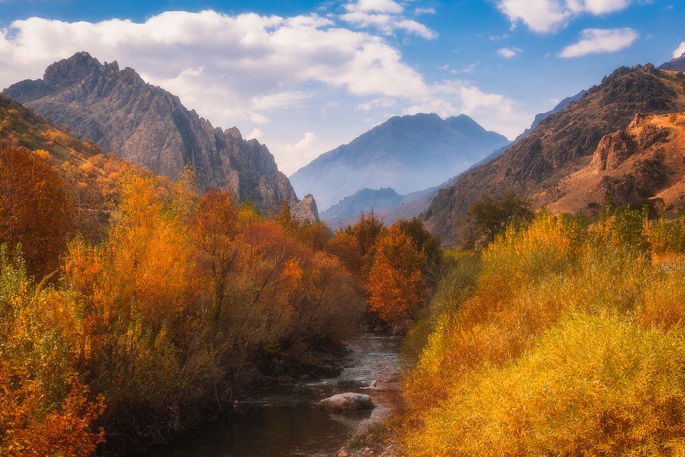 Photograph by Aws Zuhair