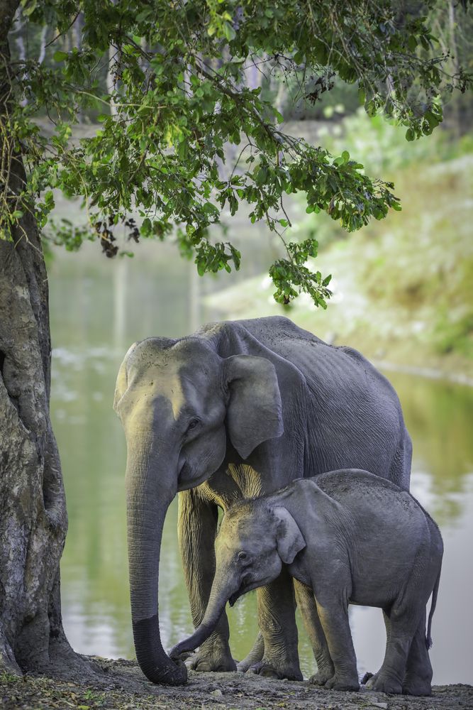 Photograph by Jeevan T