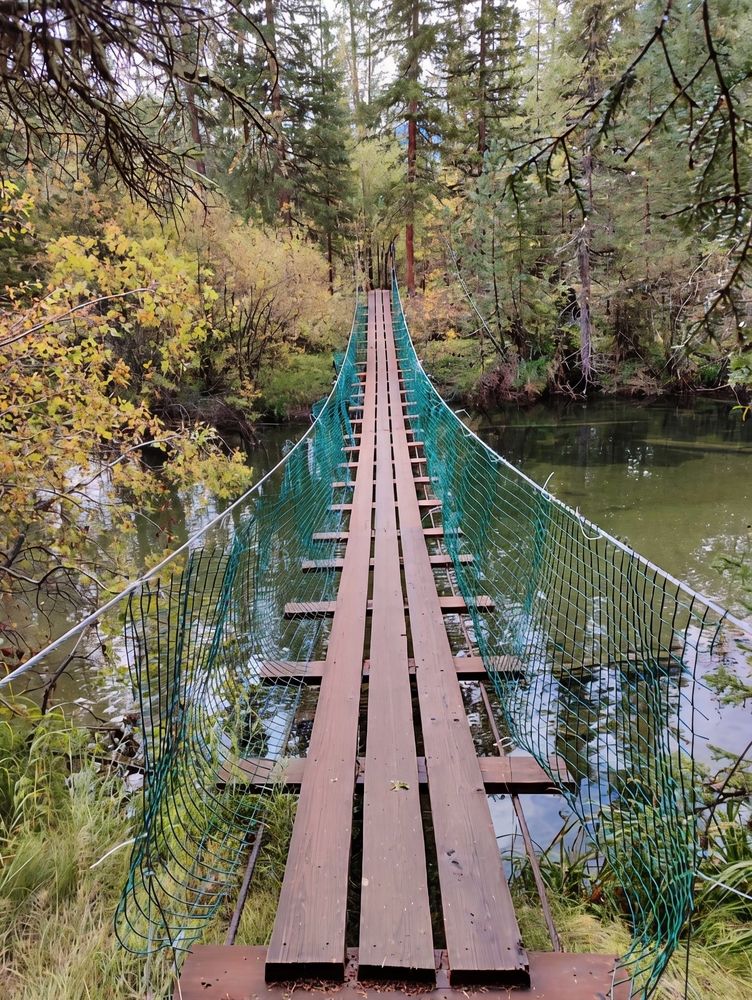 Photograph by Юлия Холомцева