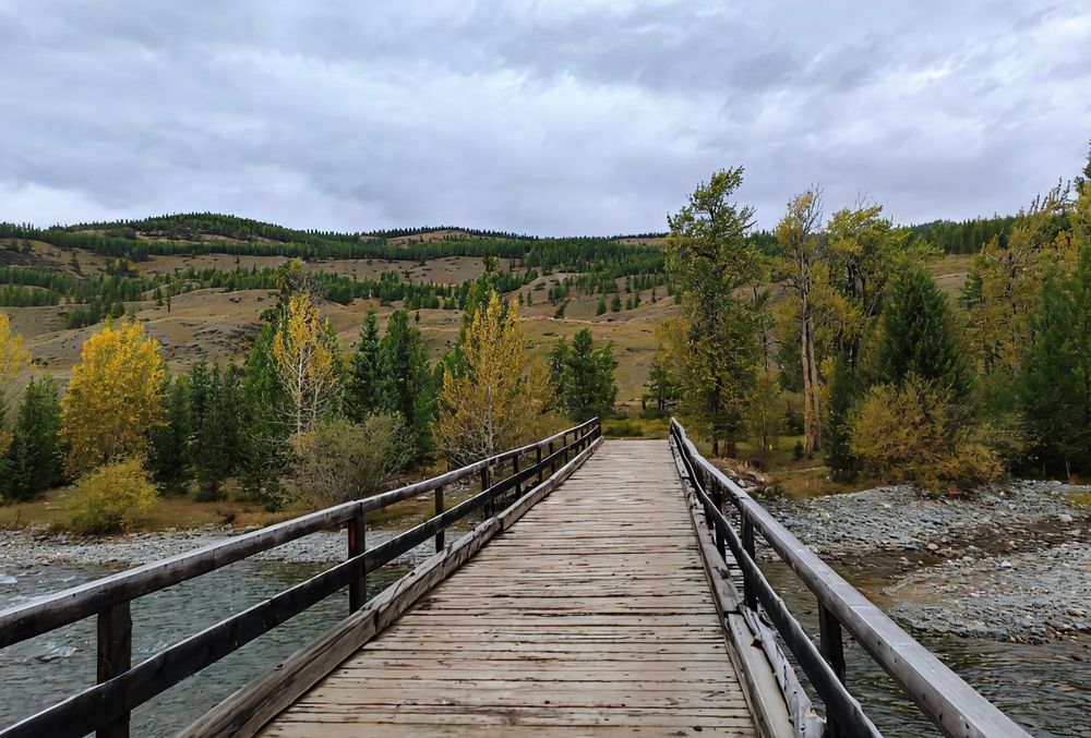 Photograph by Юлия Холомцева