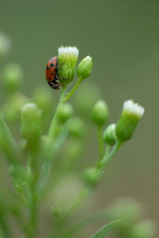 Photograph by Дарья Улюсова