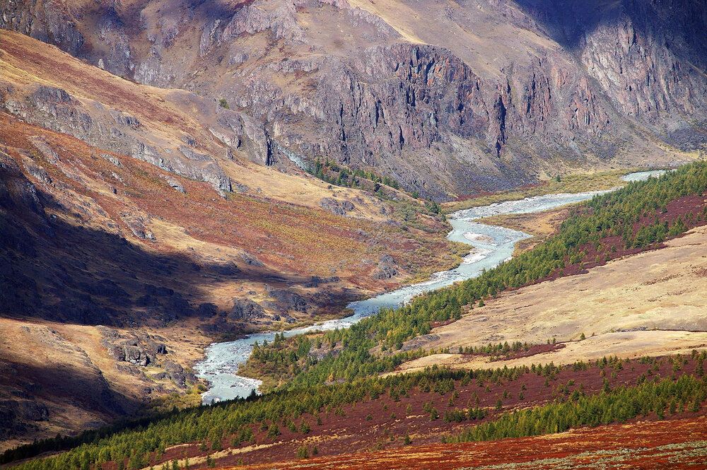 Photograph by Дмитрий Ткаченко