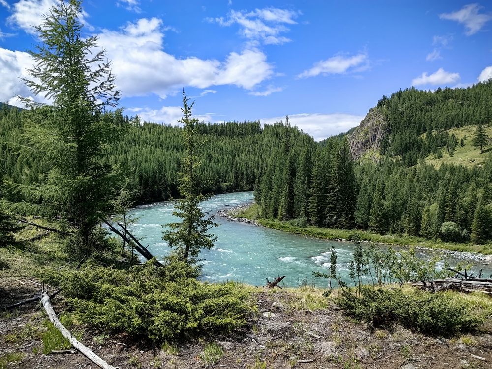 Река Коксу на Алтае