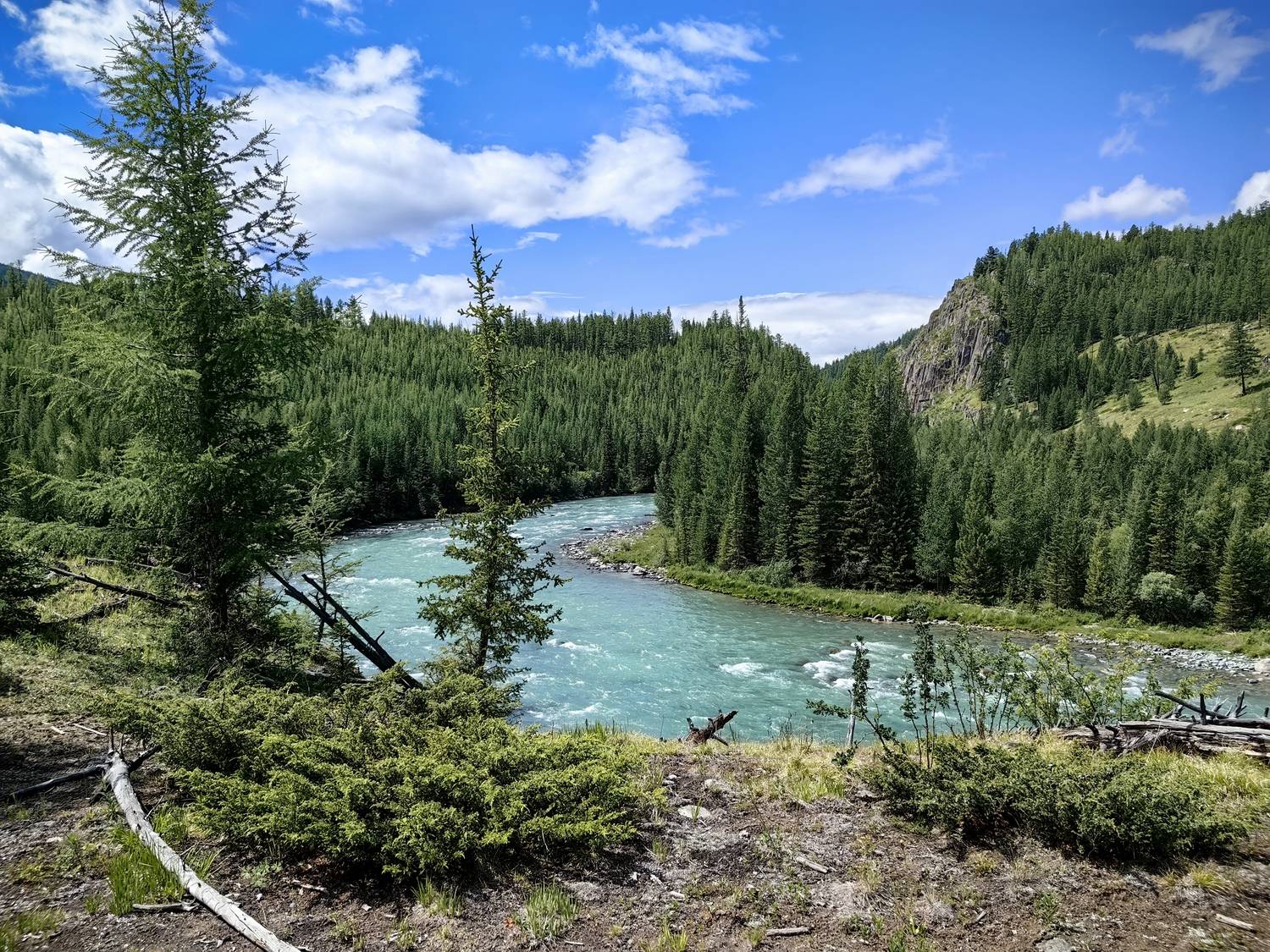 Река Коксу на Алтае