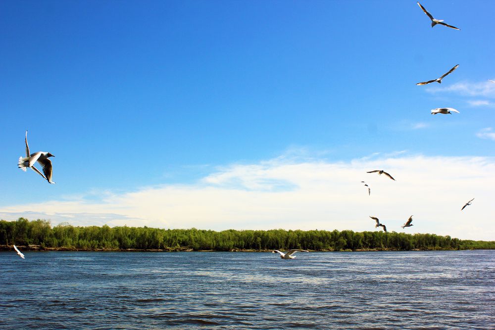 Над  рекой Лена.