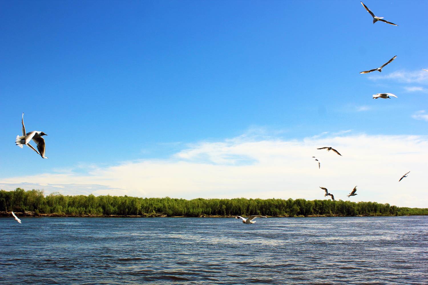 Над  рекой Лена.